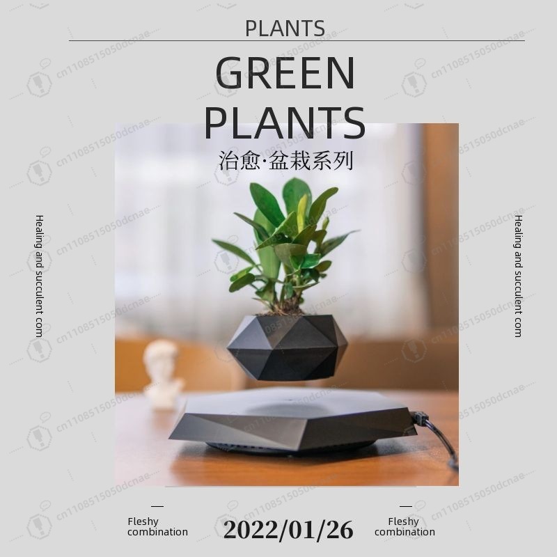 Magnetic Levitation Flower Pot - огляд і ціна Bonsai.Tech Office