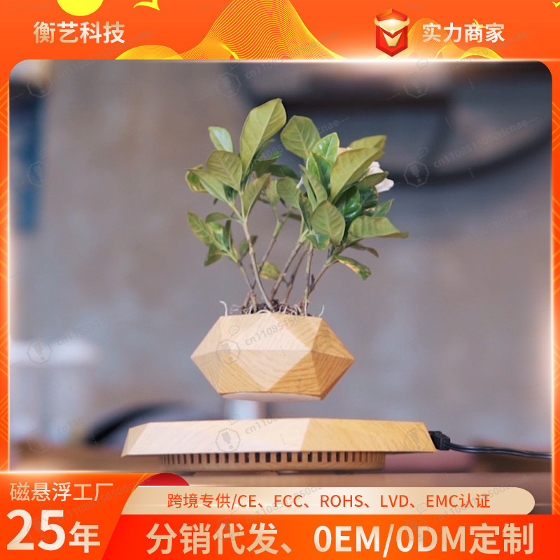 Magnetic Levitation Flower Pot - огляд і ціна Bonsai.Tech Office