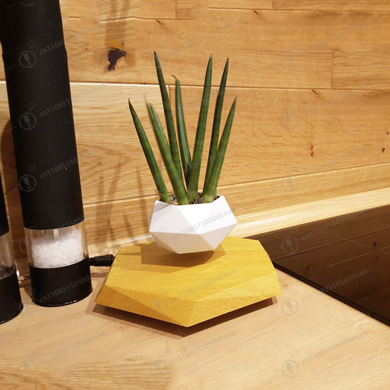 Magnetic Levitation Flower Pot - огляд і ціна Bonsai.Tech Office