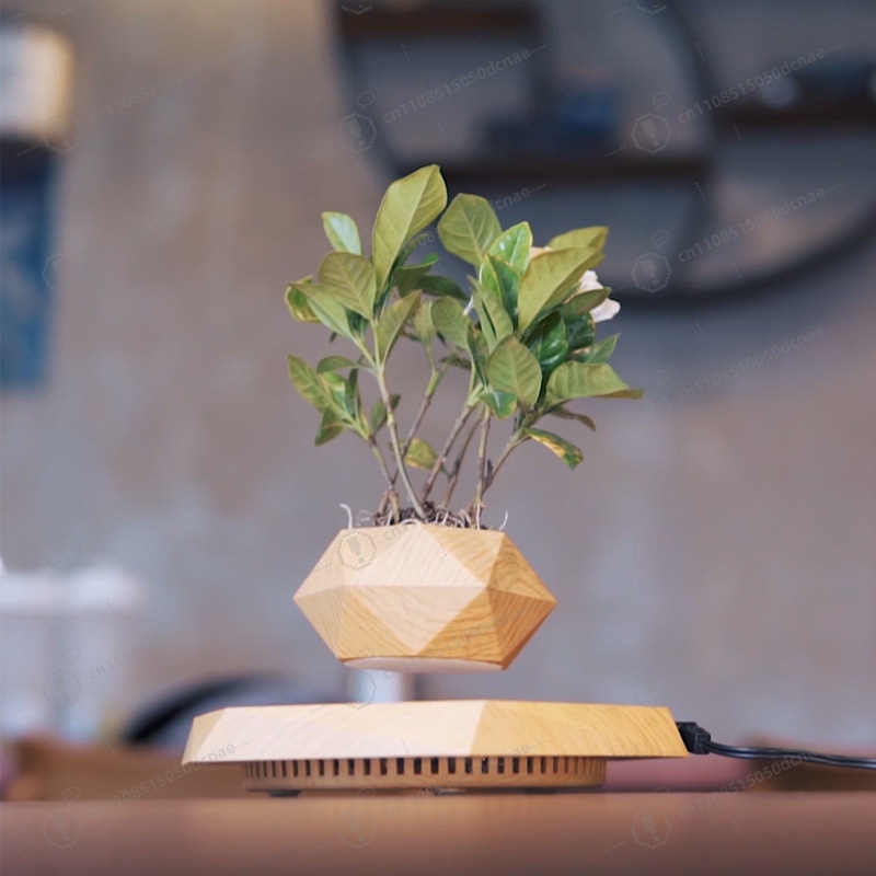 Magnetic Levitation Flower Pot - огляд і ціна Bonsai.Tech Office